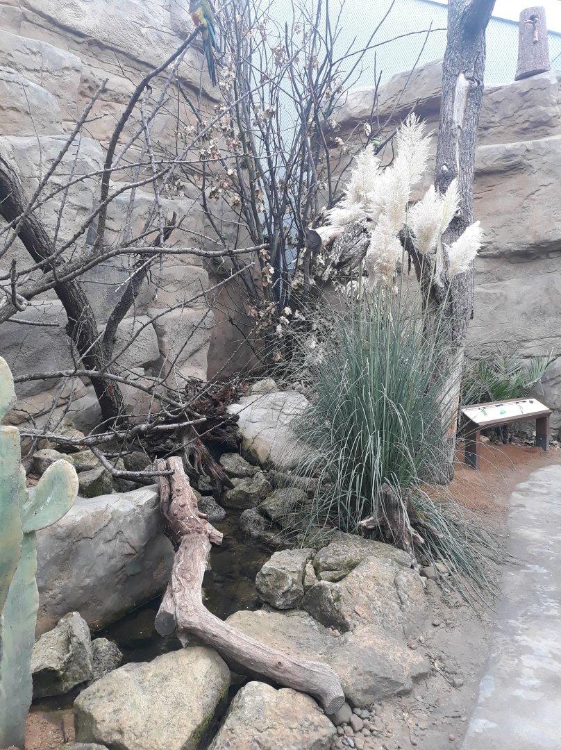 Rakos' house - Walkthrough aviary