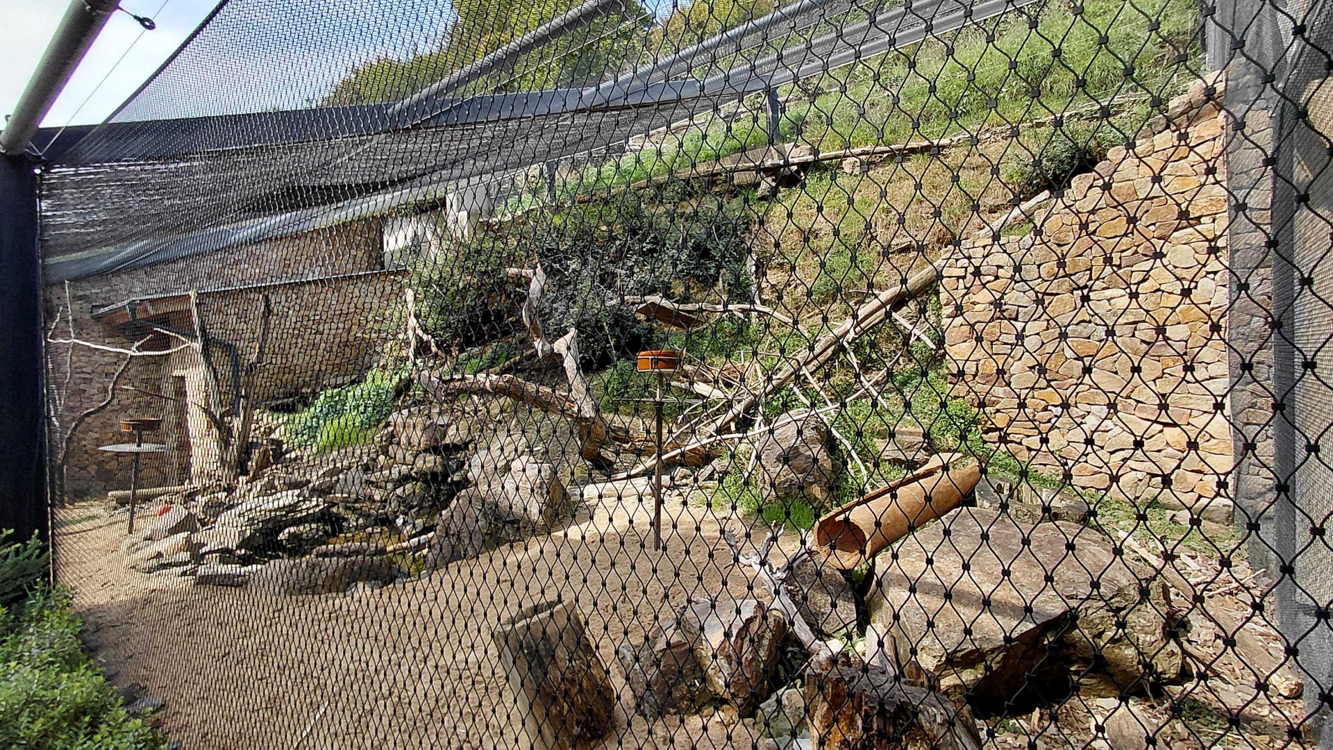 Rákos's house - Kea aviary