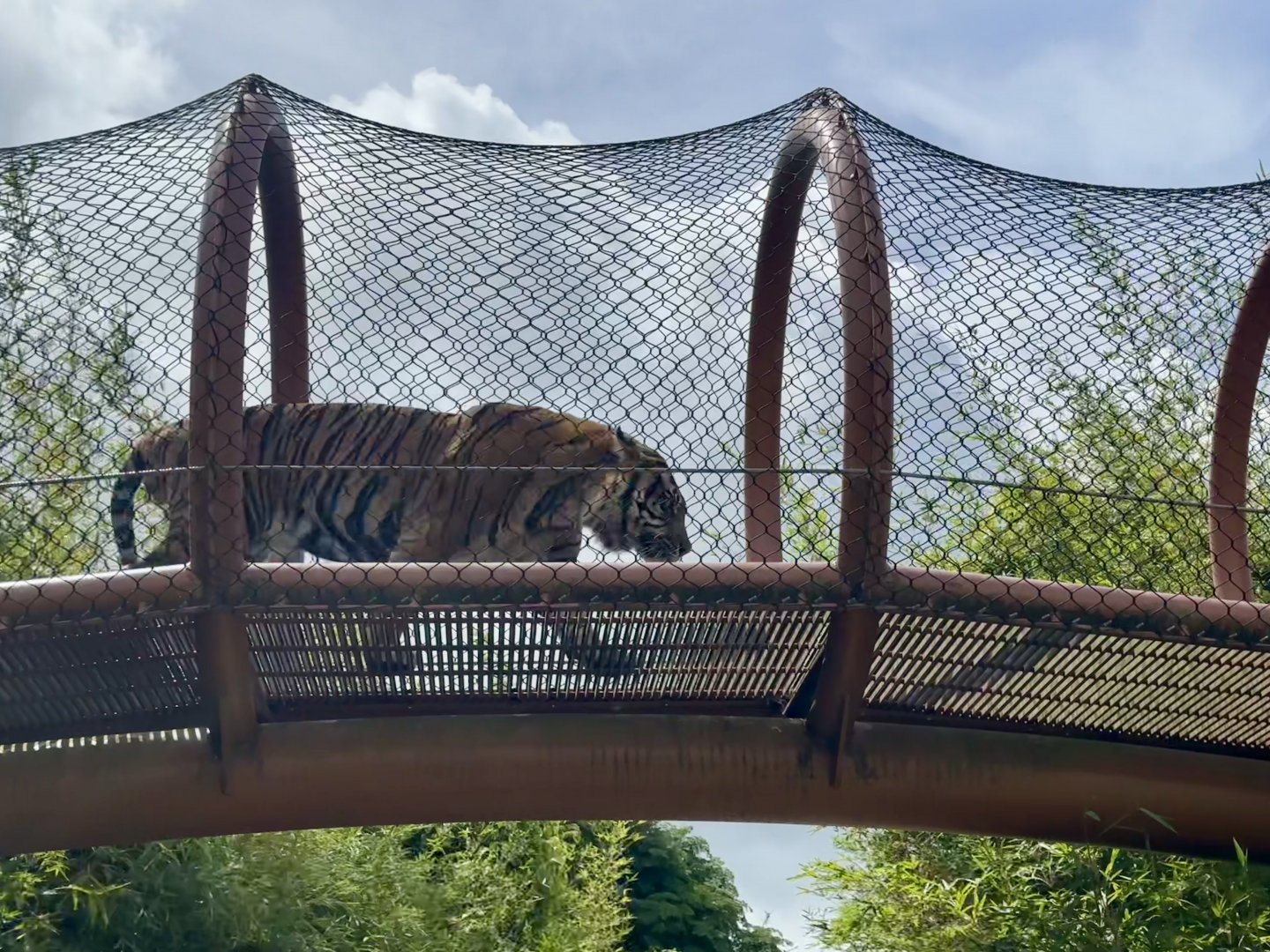 Ramah in Overhead Pathway