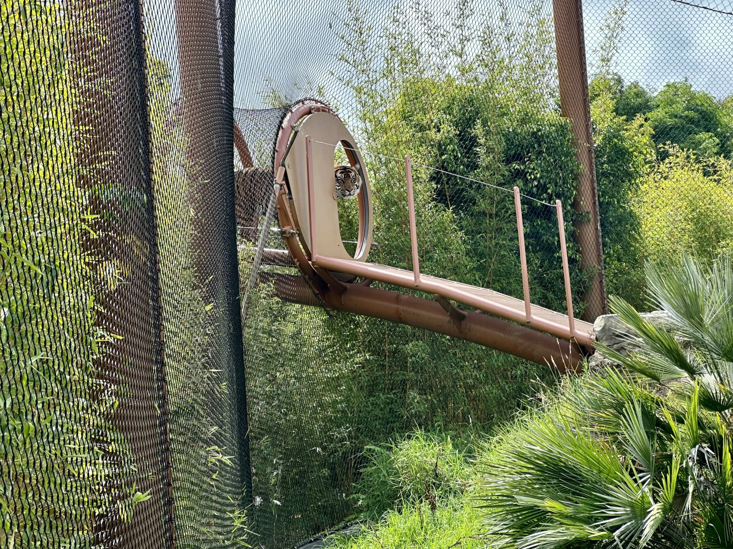 Ramah in Overhead Pathway