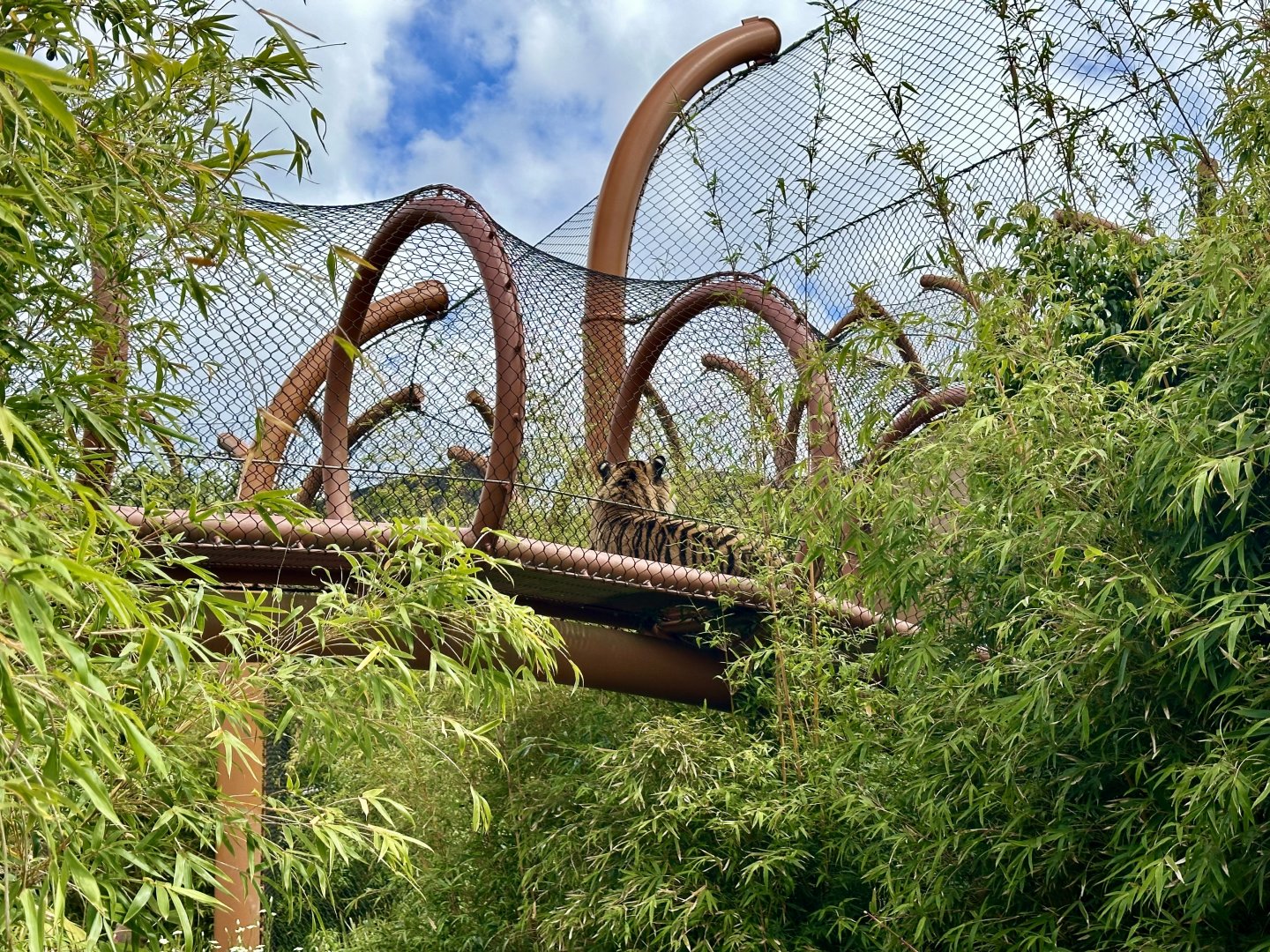 Ramah in Overhead Tunnel