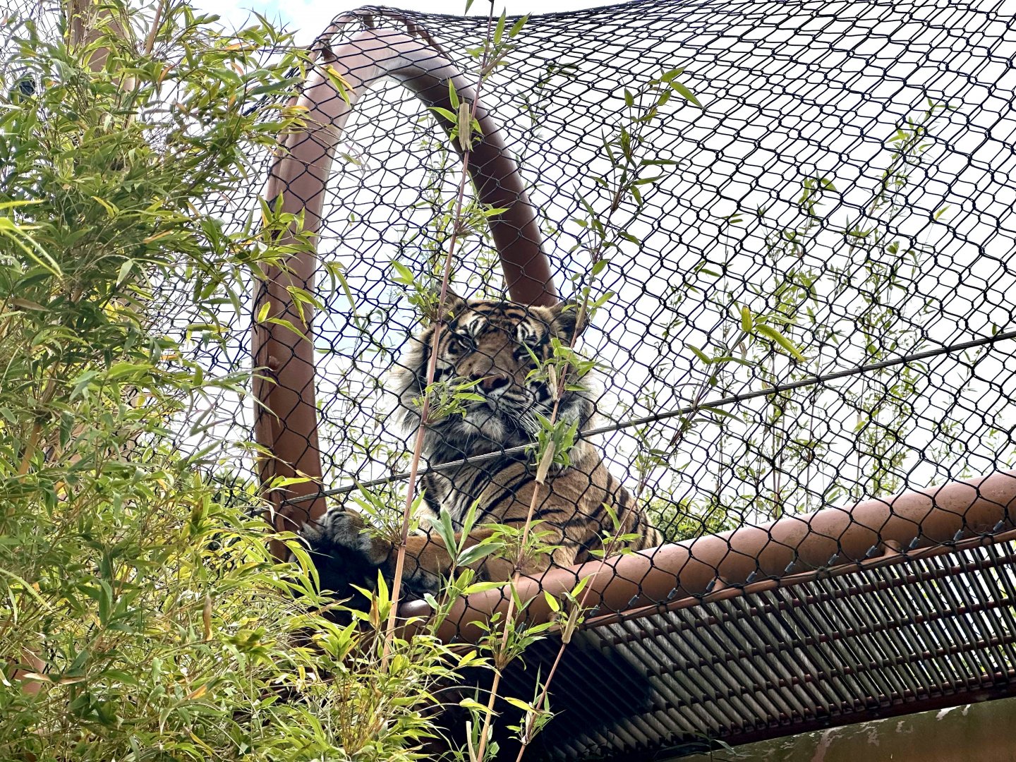 Ramah in Overhead Tunnel