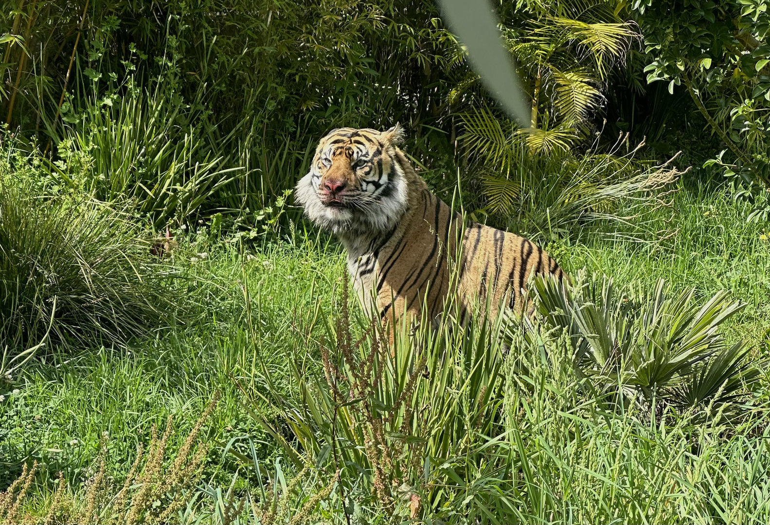 Ramah - Sensory Enrichment