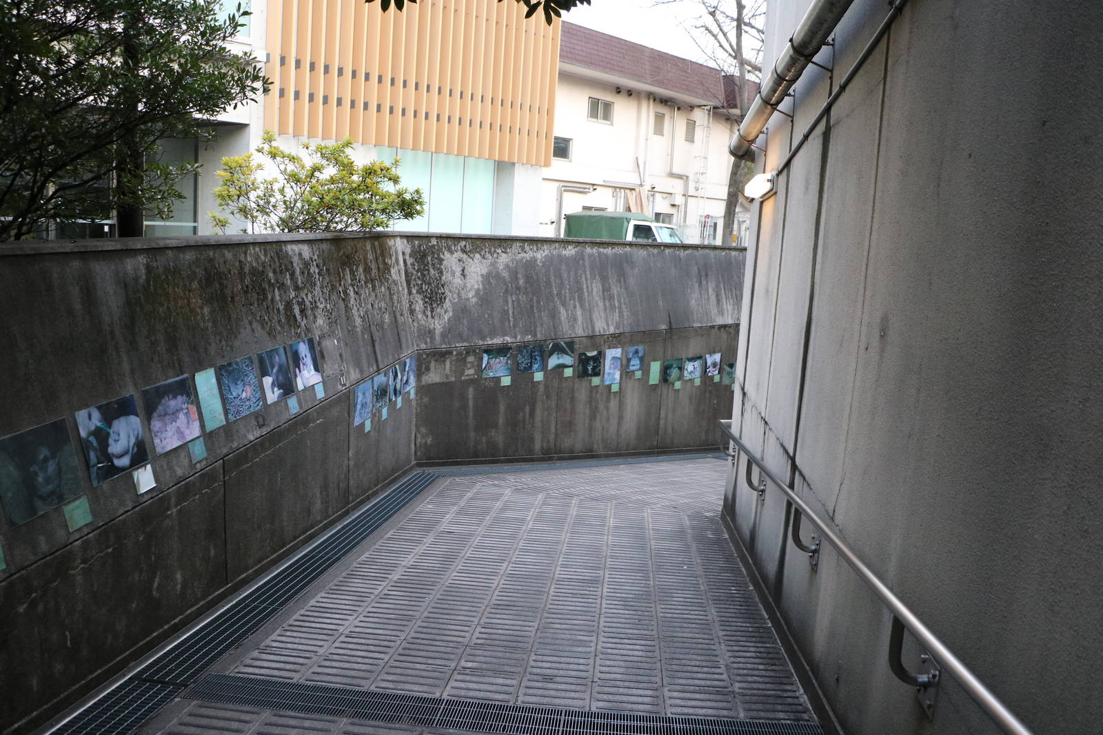 Ramp to the lower level, February 2016