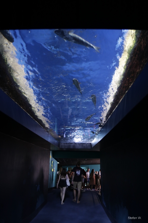 Ramp to the upper floor