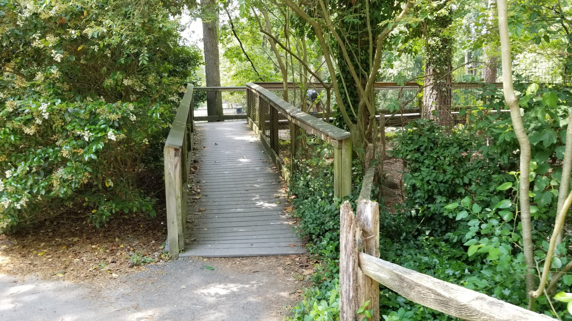 Ramp to water boardwalk