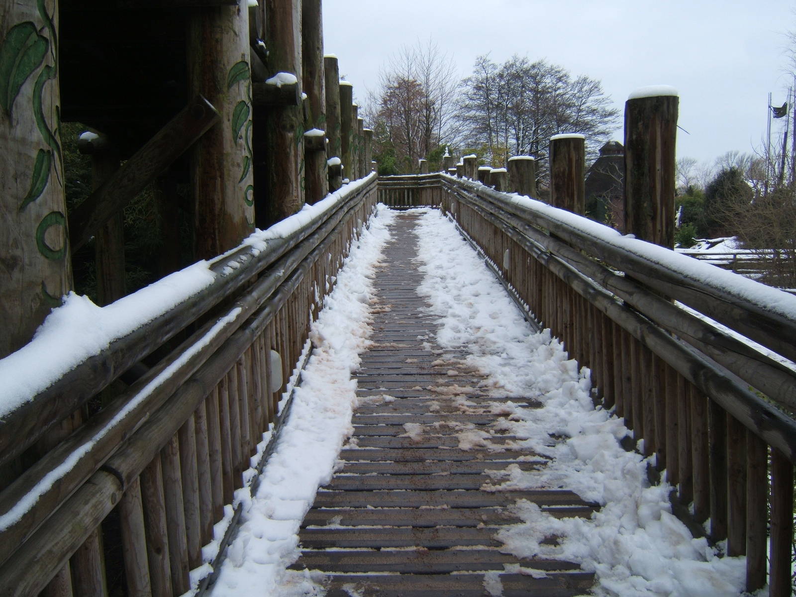 Ramp up to Realm of the Red Ape