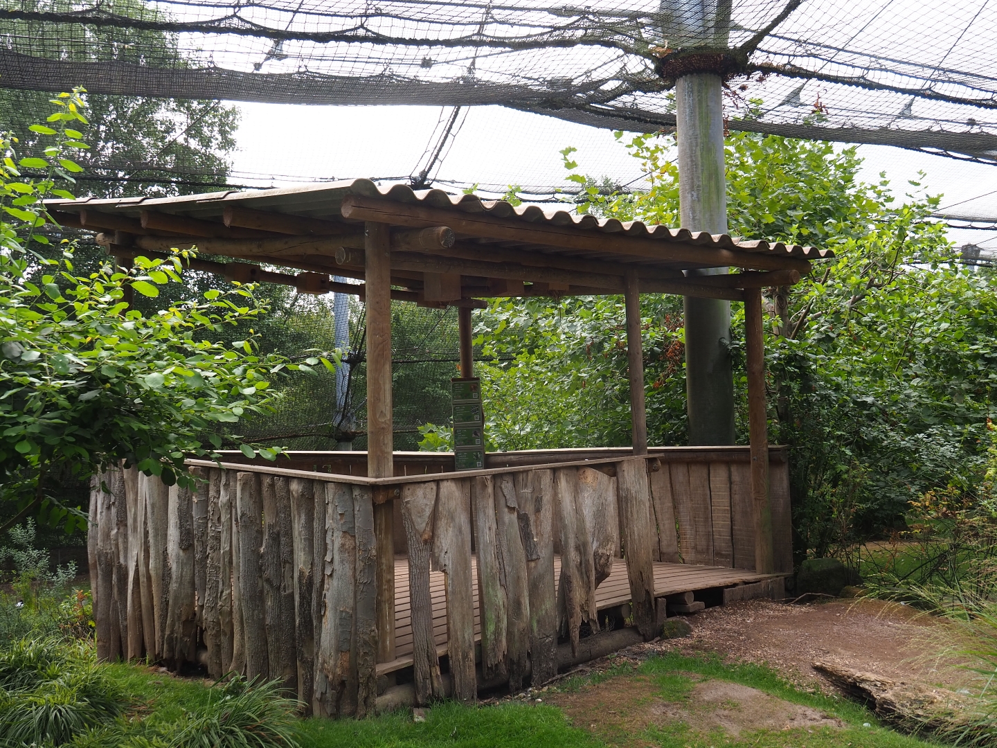 Ramshackle bird viewing shack (Aug 28th, 2018)