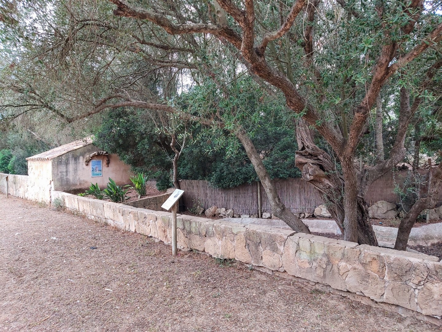Rancho Grande - former wild boar enclosure