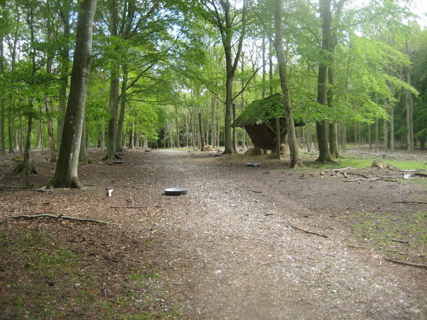 Randers Dyrehave - General view and feeding station
