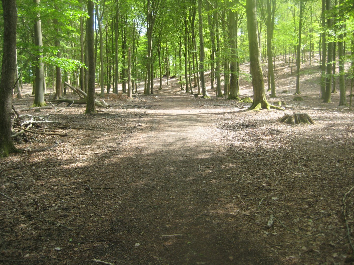 Randers Dyrehave - General view