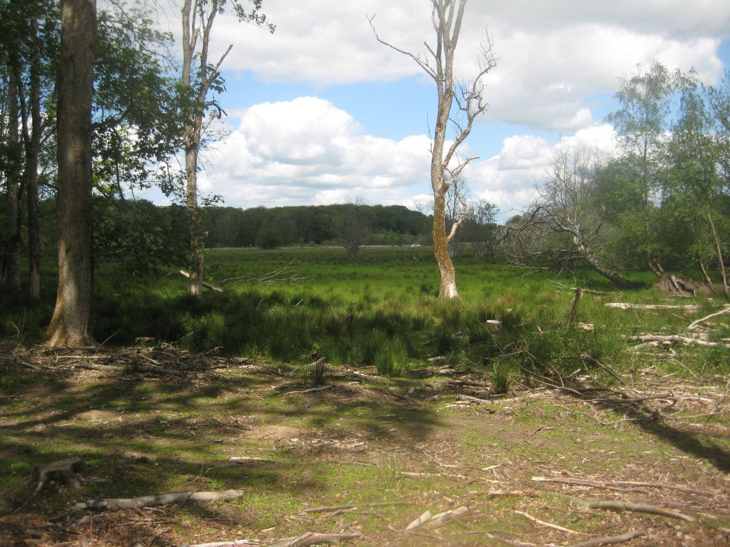 Randers Dyrehave - General view