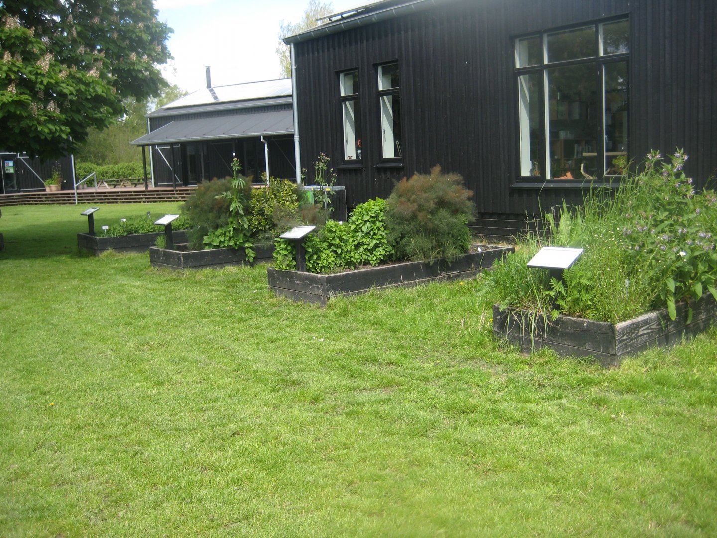 Randers Naturcenter - Herbal garden
