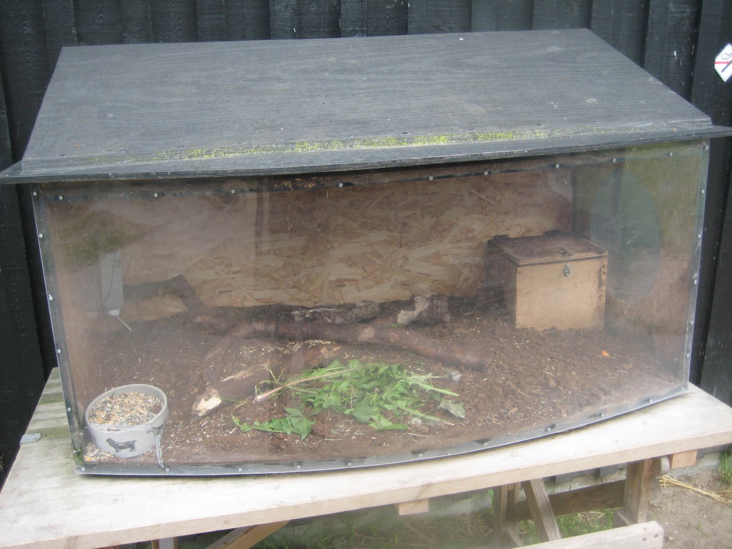 Randers Naturcenter - Mouse exhibit