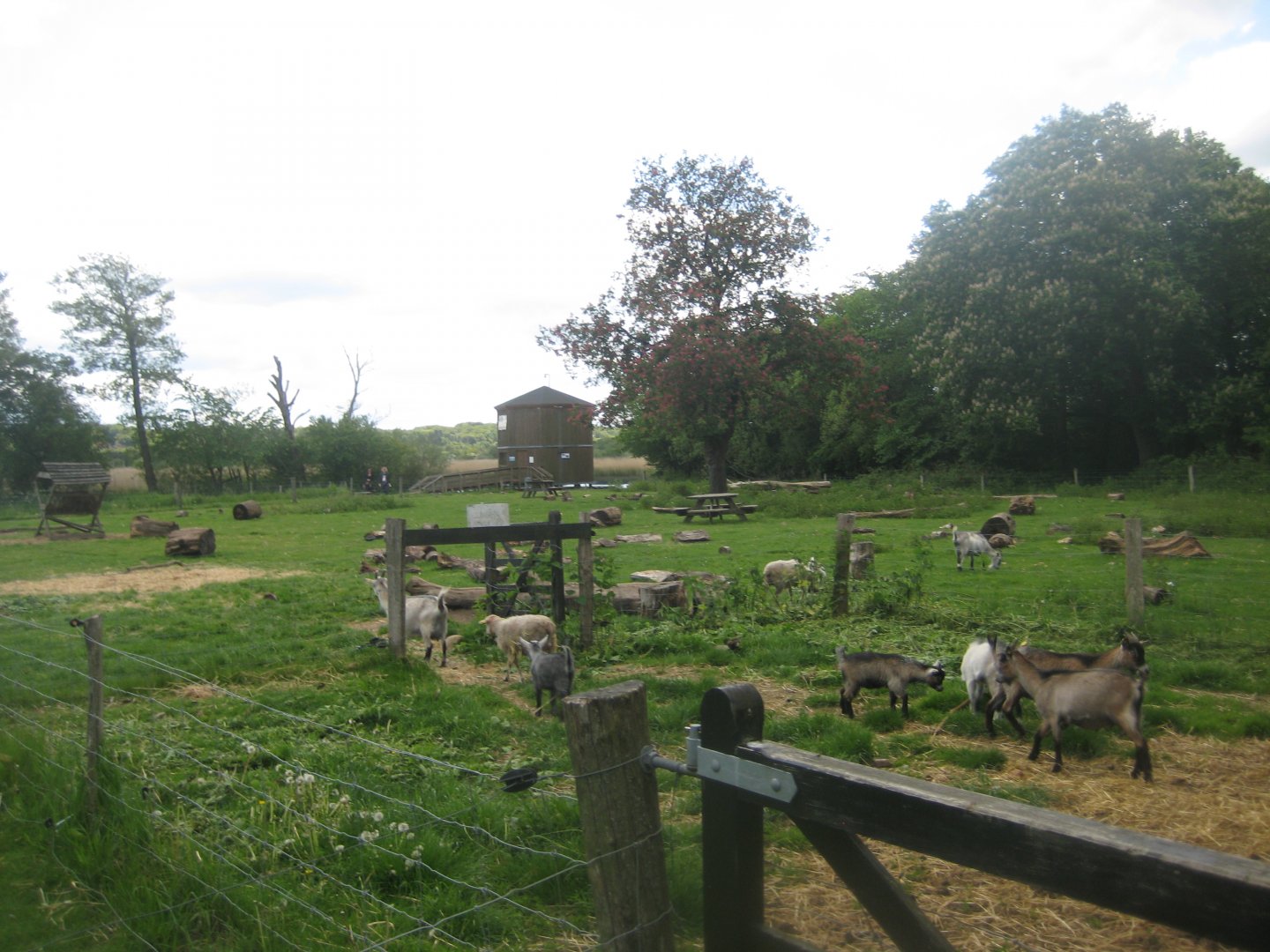 Randers Naturcenter - Petting exhibit