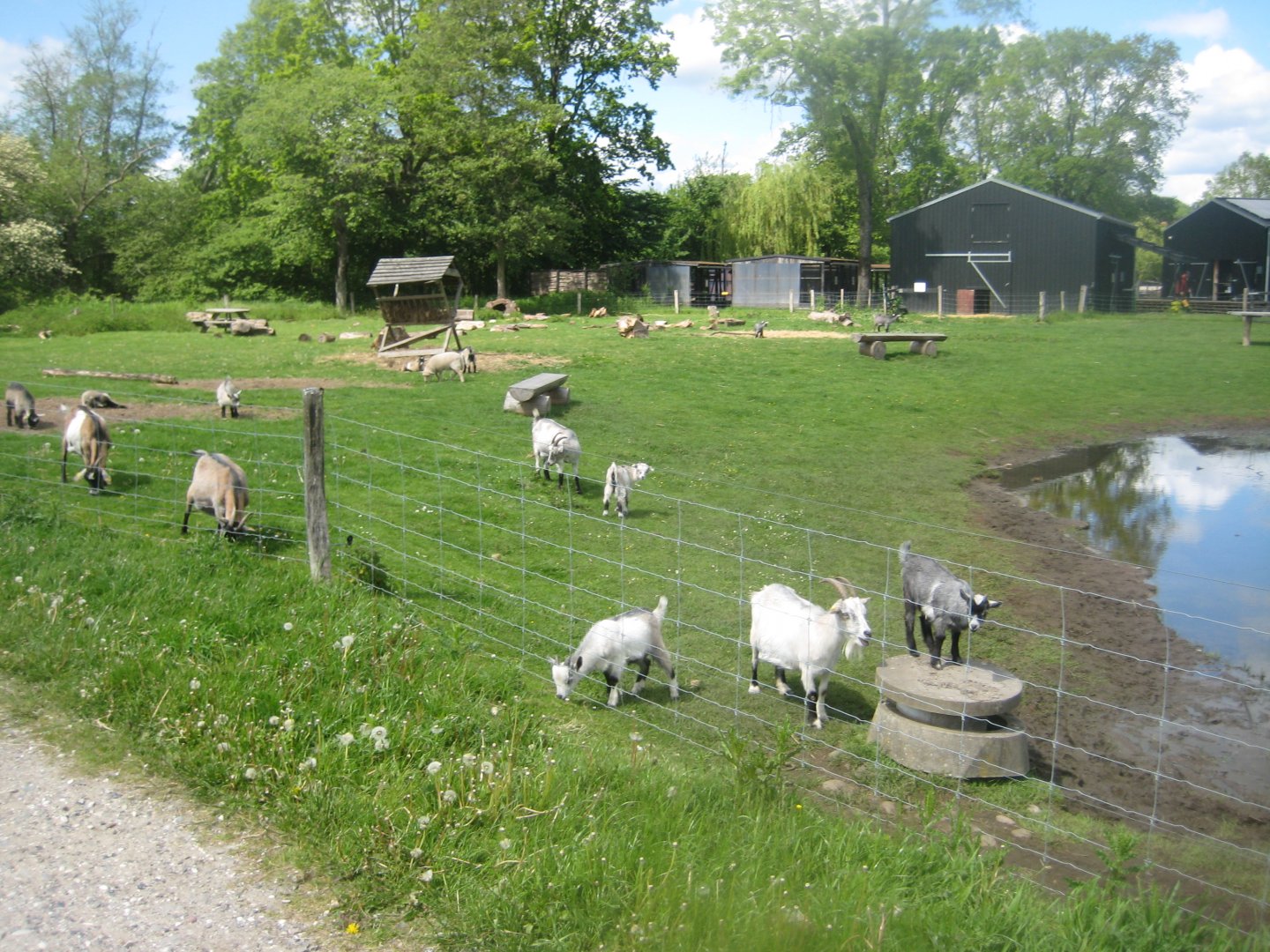 Randers Naturcenter - Petting exhibit