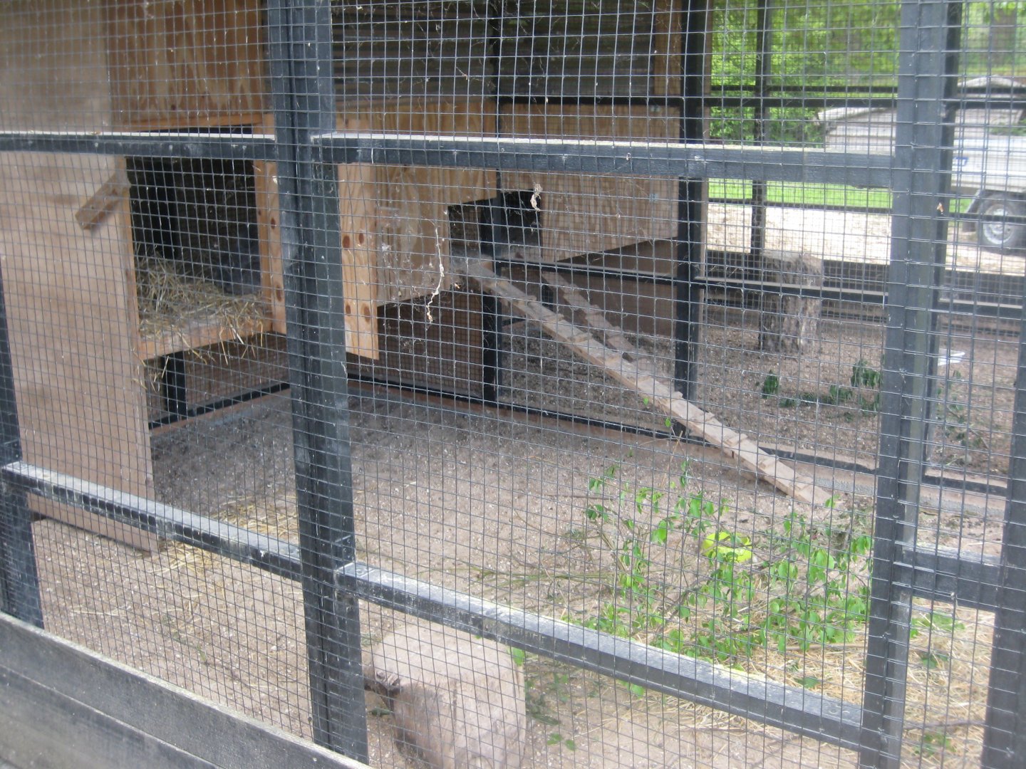 Randers Naturcenter - Rabbit exhibit #3