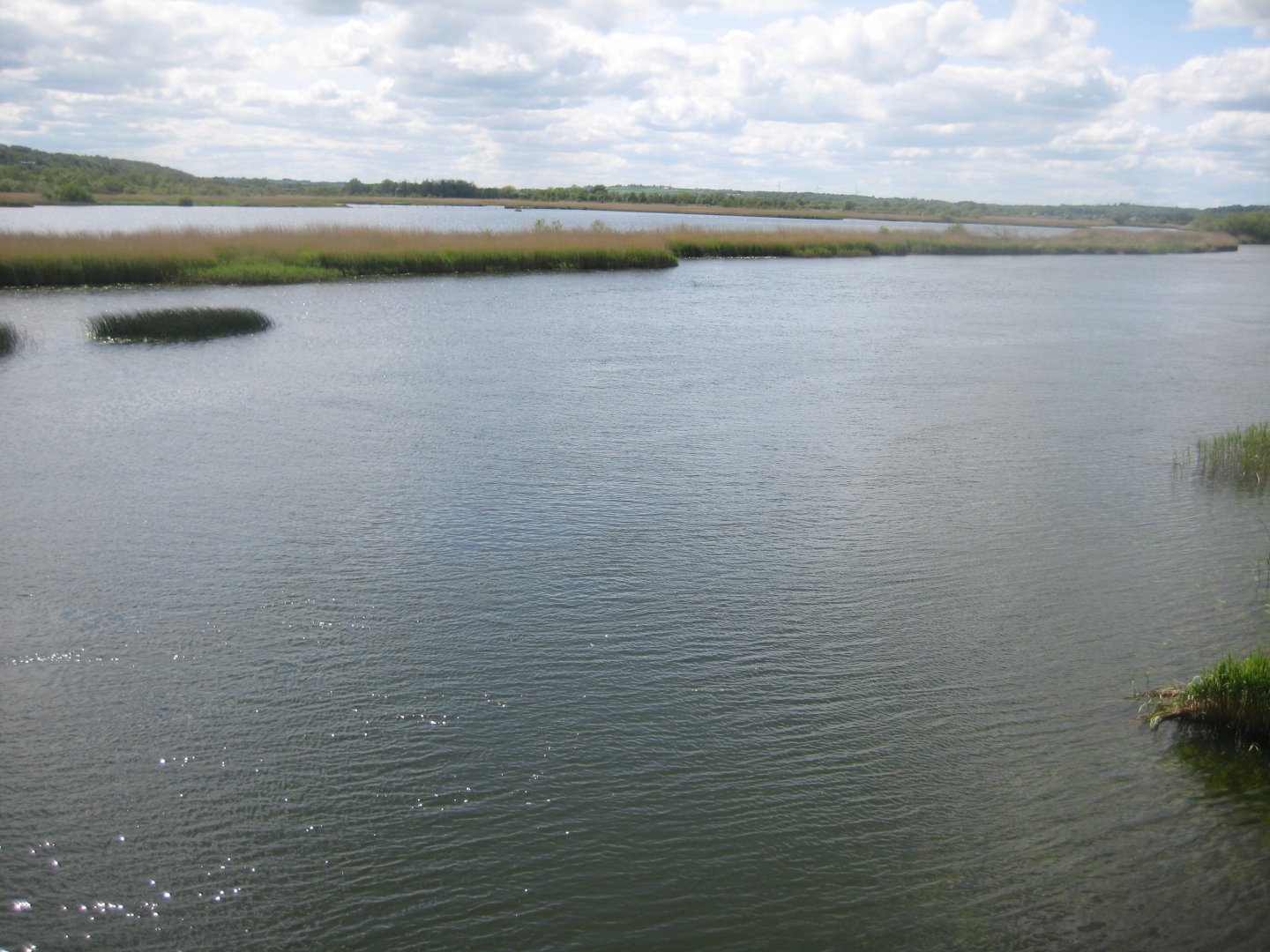 Randers Naturcenter - View from bird hide