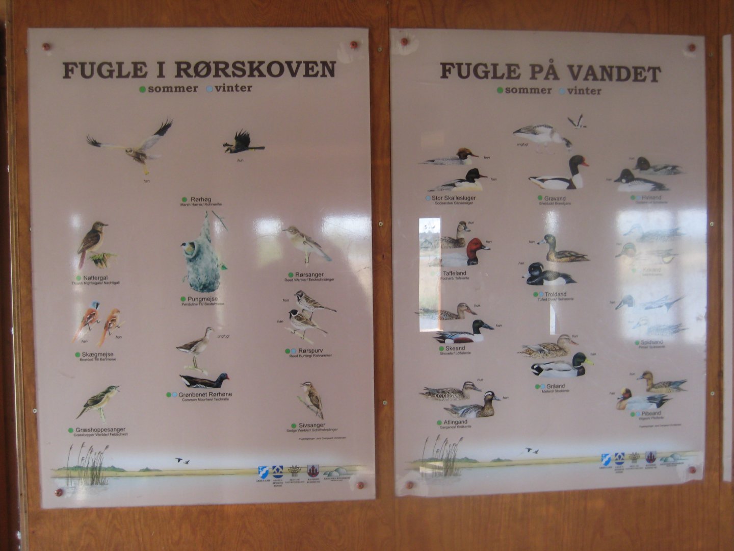 Randers Naturcenter - Wild birds in the area