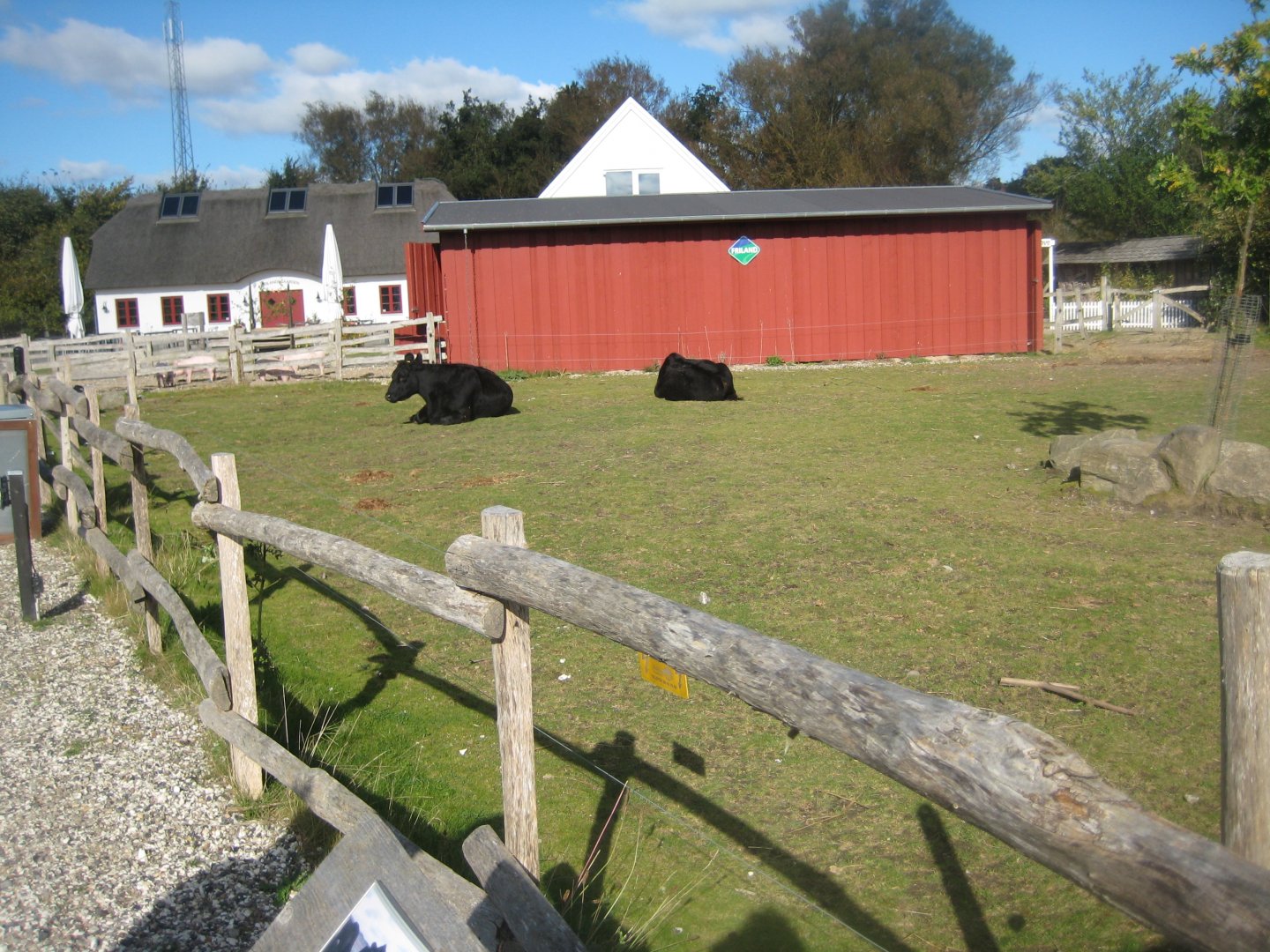 Randers Regnskov - Danmarksparken - Cattle pen