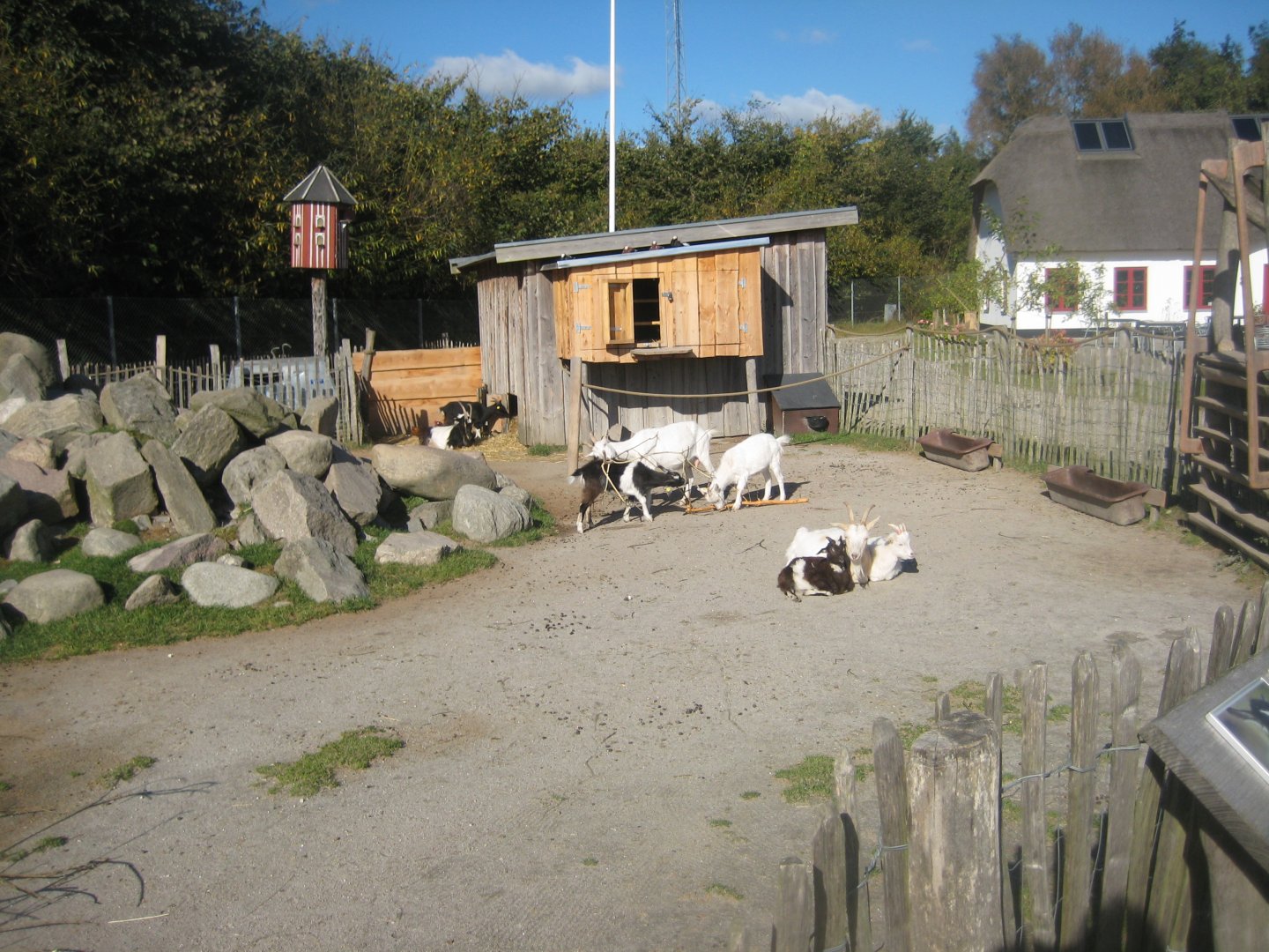 Randers Regnskov - Danmarksparken - Goat pen