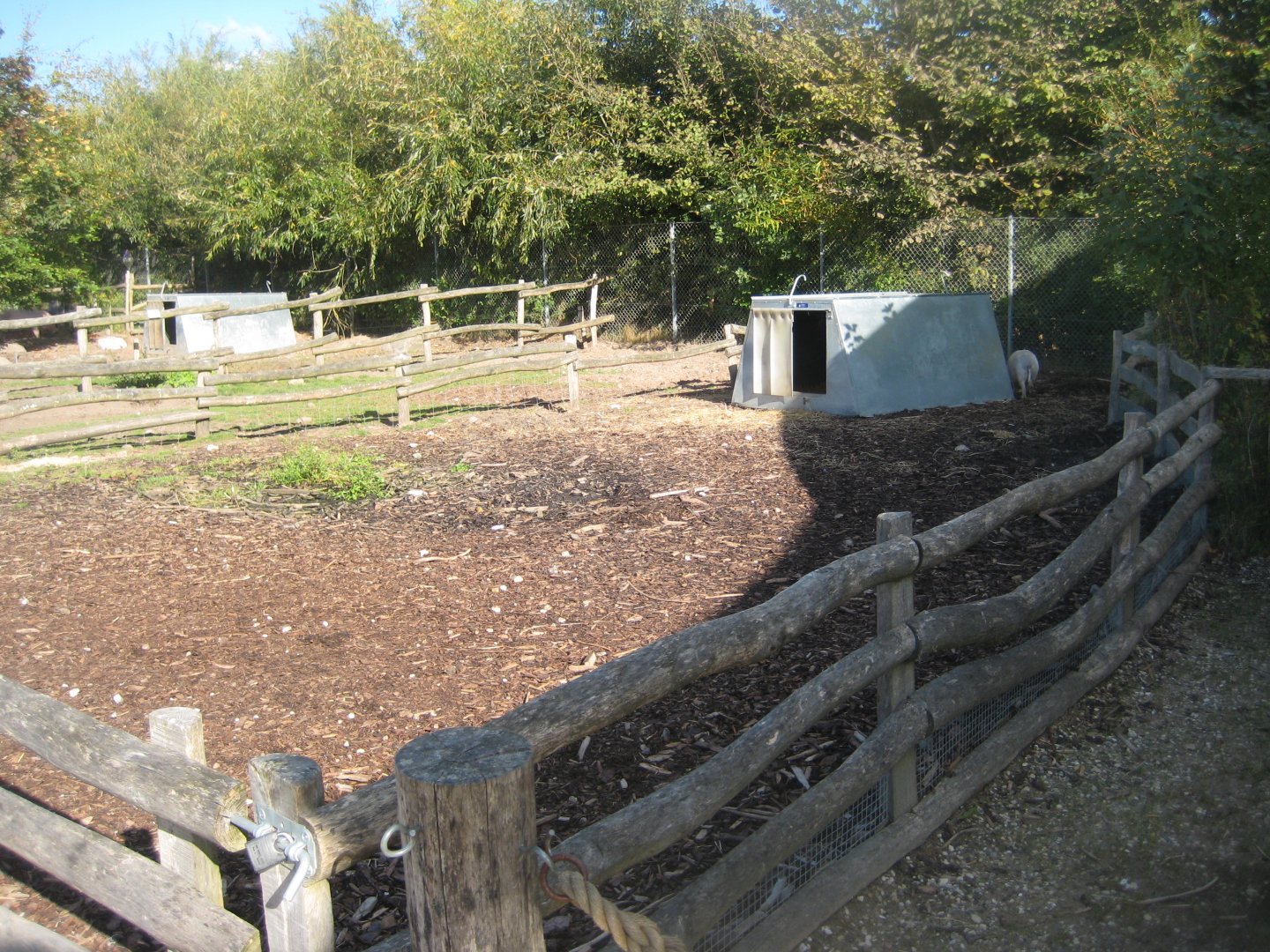 Randers Regnskov - Danmarksparken - Pig pen