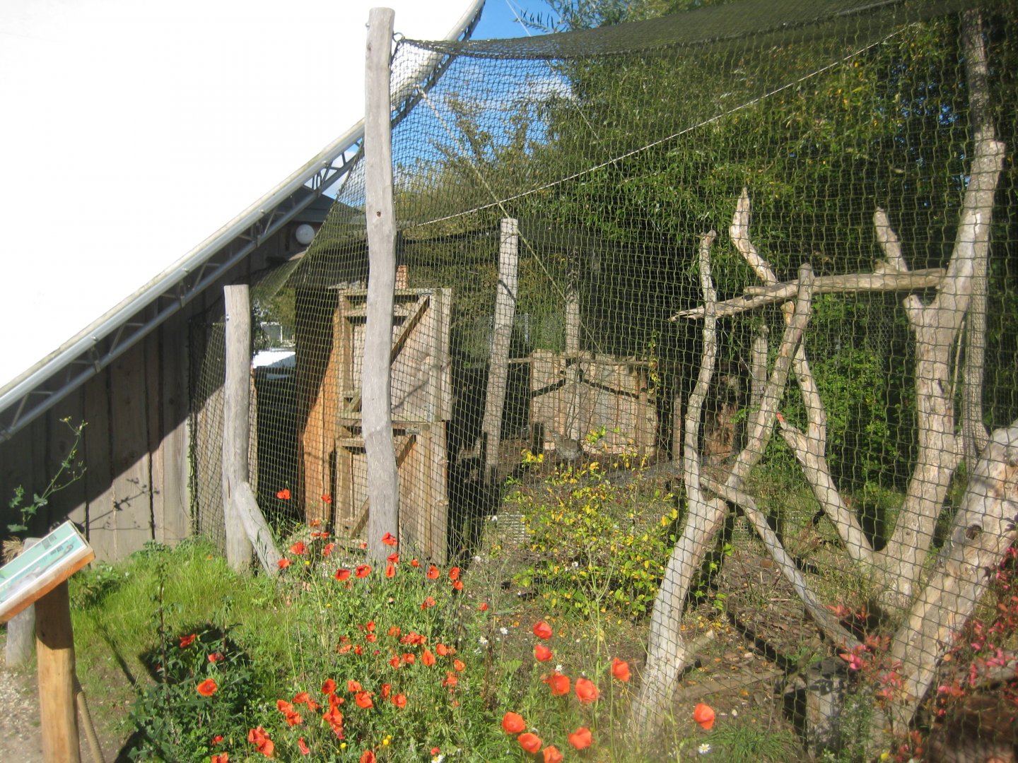 Randers Regnskov - Danmarksparken - Seriema aviary