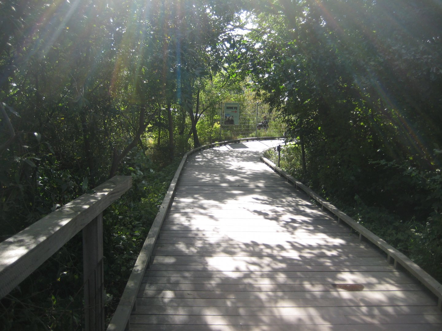 Randers Regnskov - Nature trail