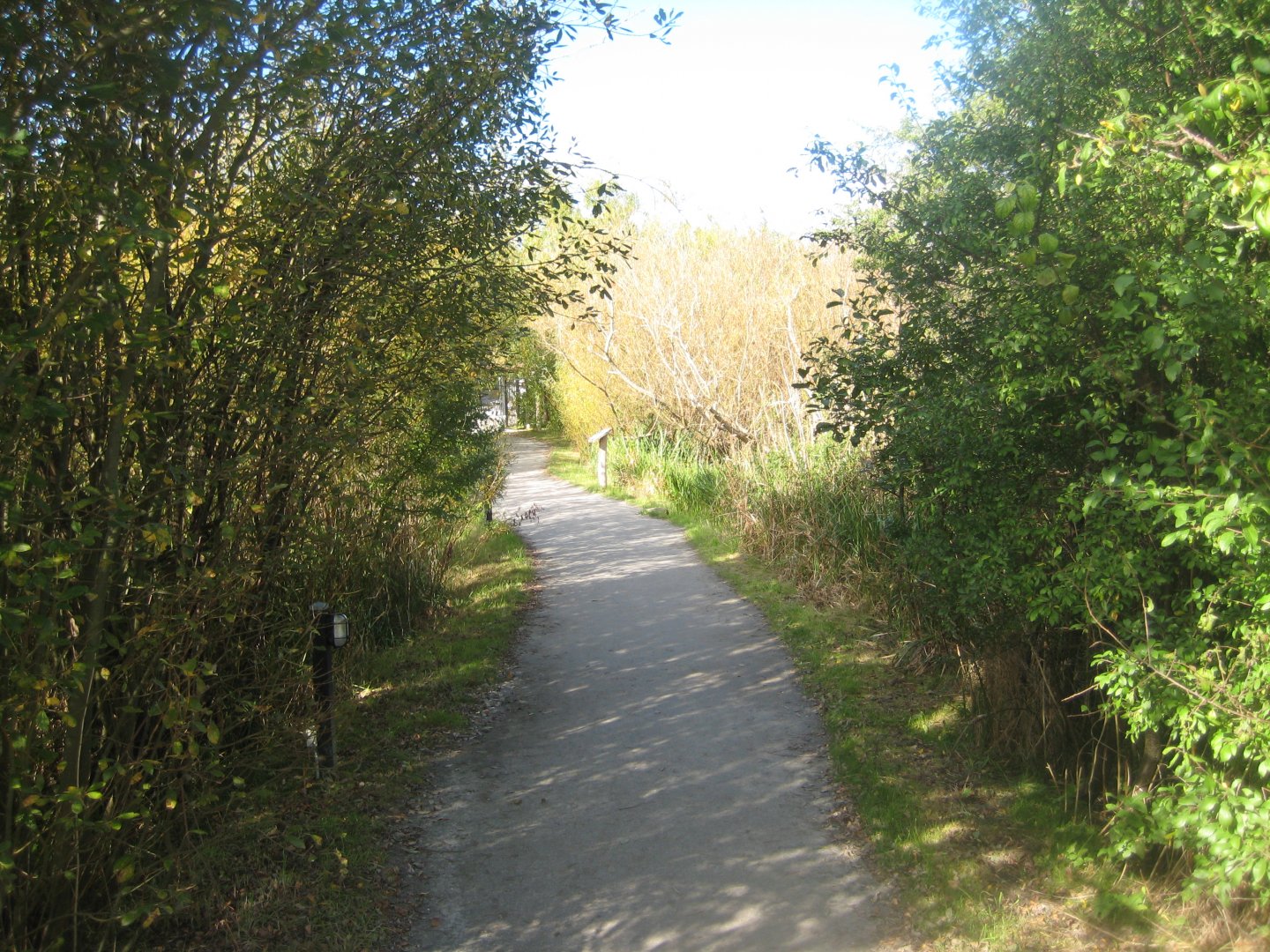Randers Regnskov - Nature trail