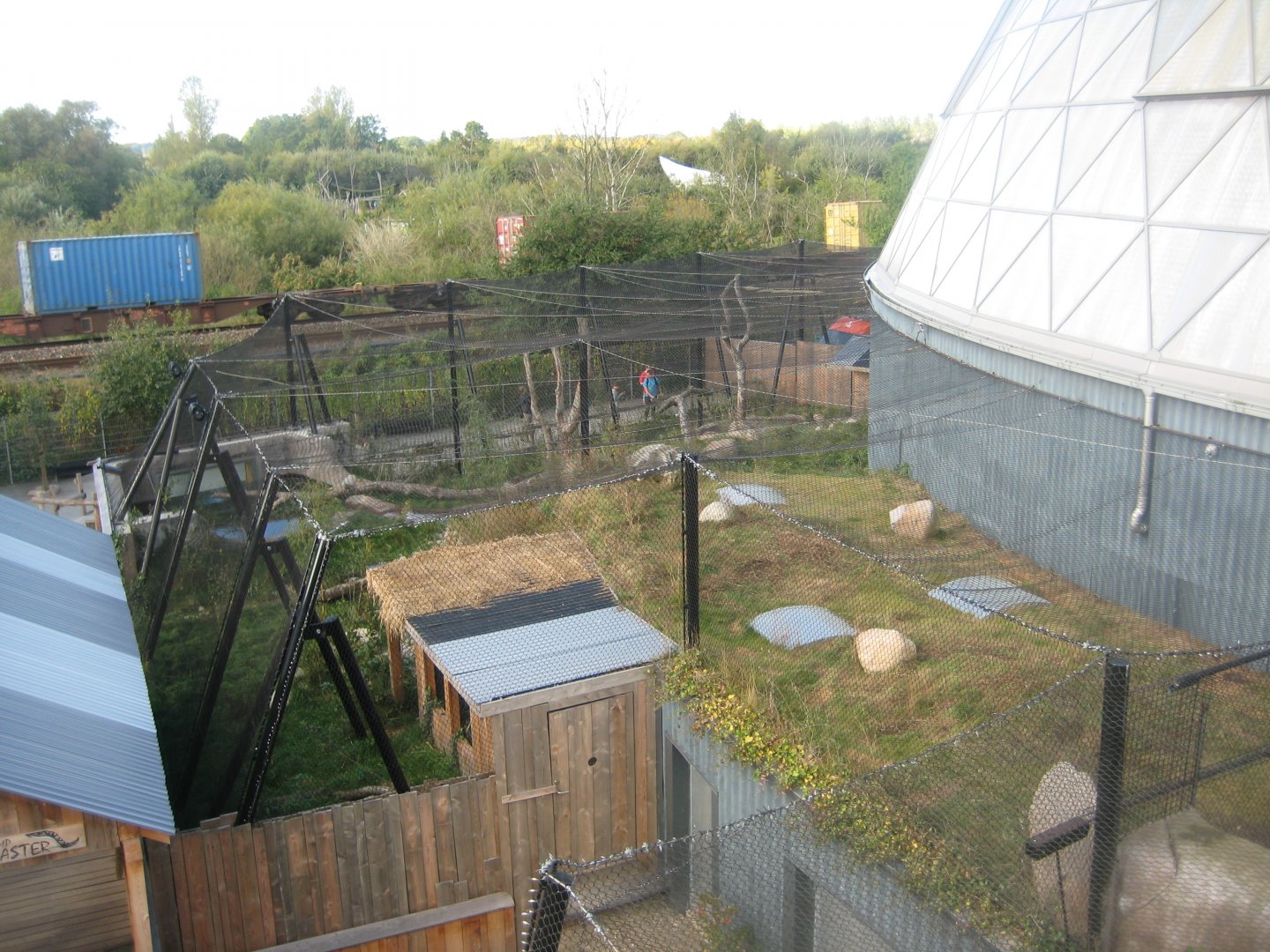 Randers Regnskov - New jaguar exhibit