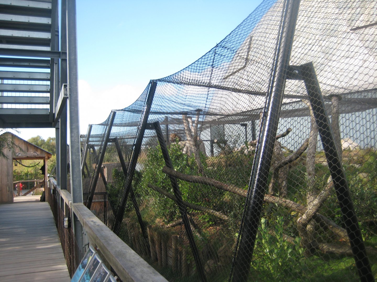 Randers Regnskov - Old jaguar exhibit