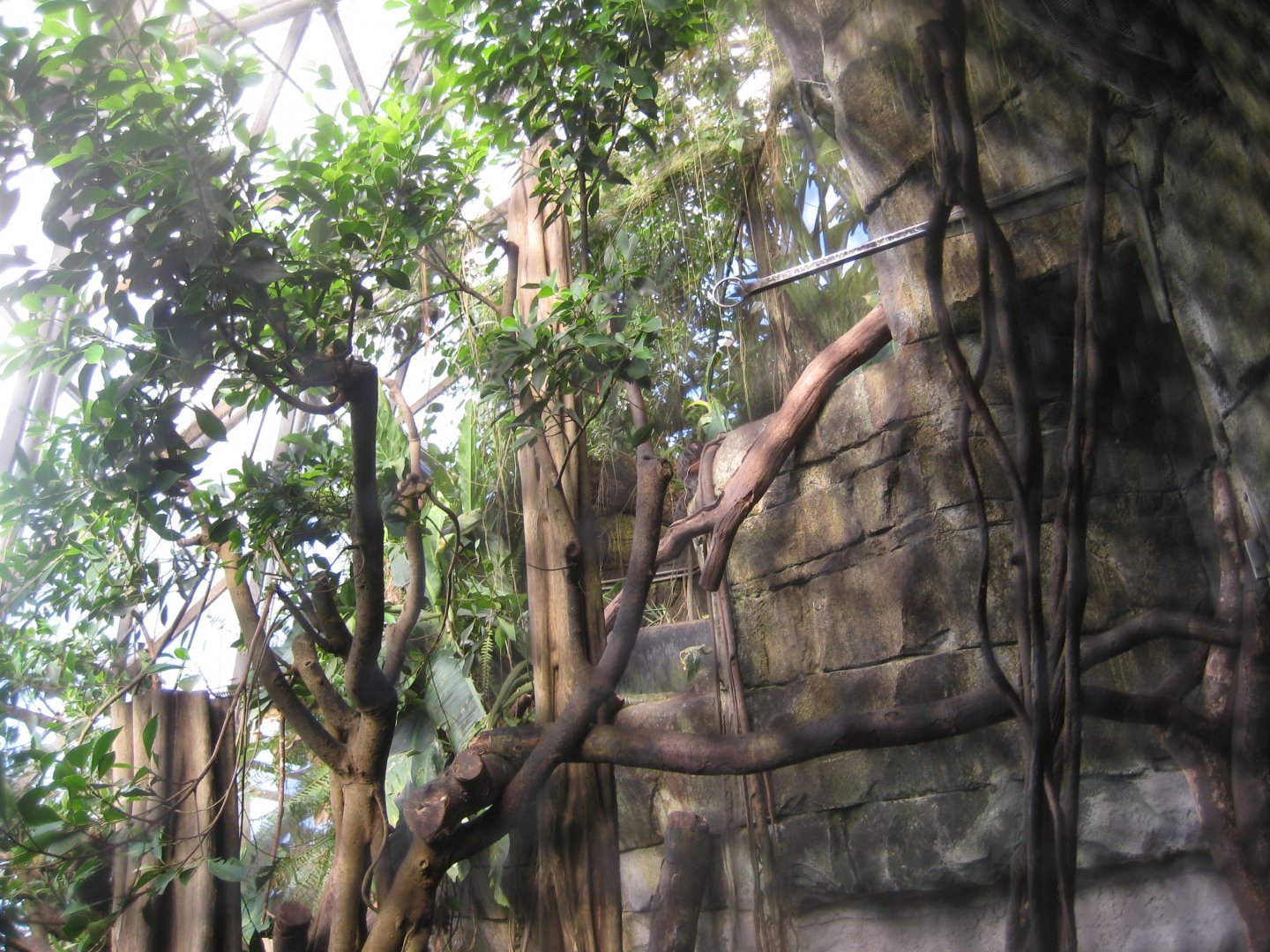 Randers Regnskov - Saki exhibit