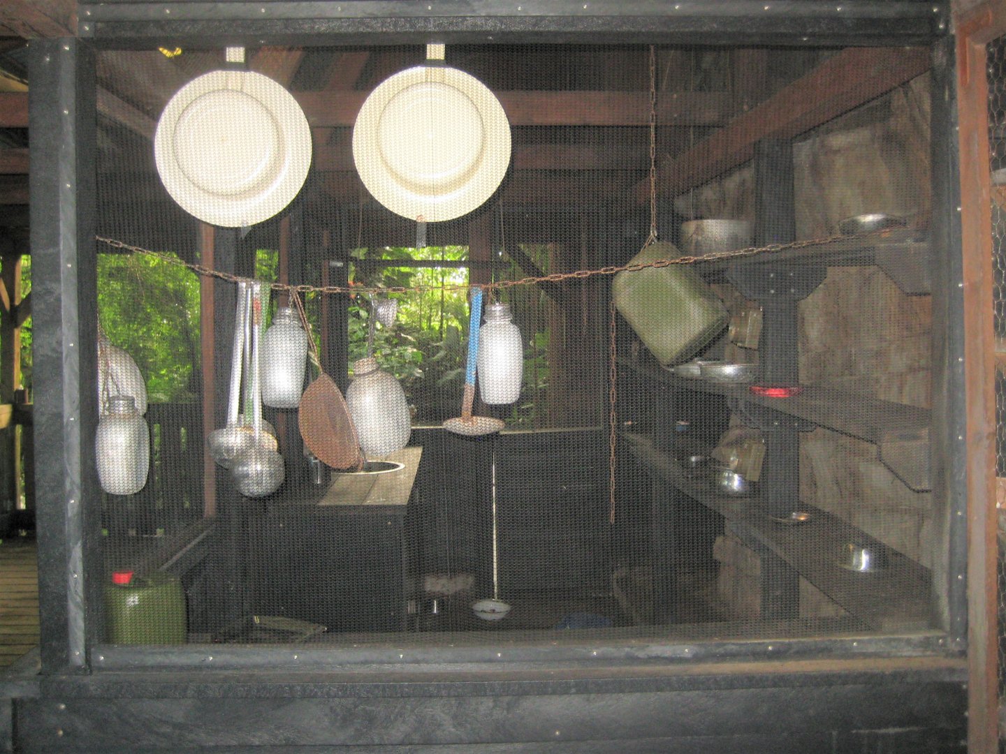 Randers Regnskov - Secondary coati exhibit