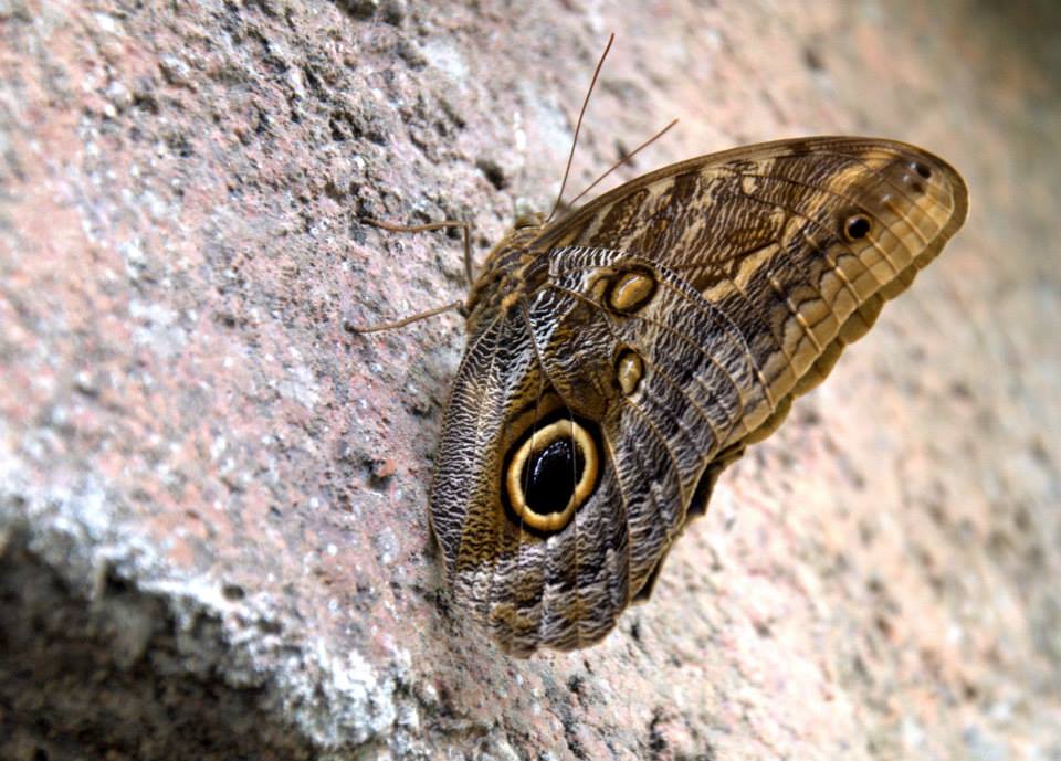 Randers Regnskov Tropical Zoo  - foto: M. Rawski & B. Kierończ