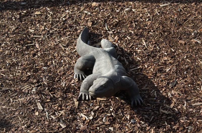 Randers Regnskov Tropical Zoo  - foto: M. Rawski & B. Kierończ