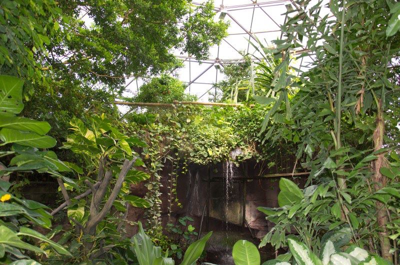 Randers Regnskov Tropical Zoo  - foto: M. Rawski & B. Kierończ