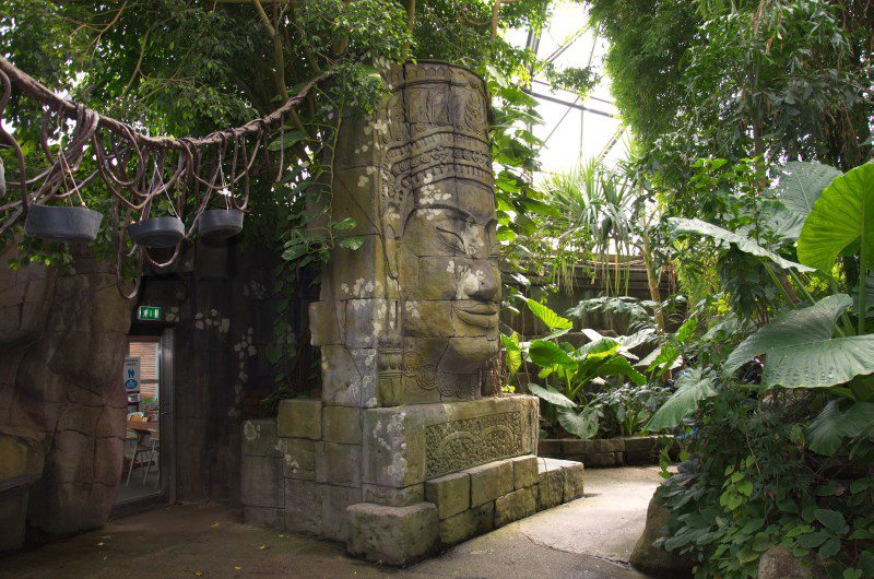 Randers Regnskov Tropical Zoo  - foto: M. Rawski & B. Kierończ