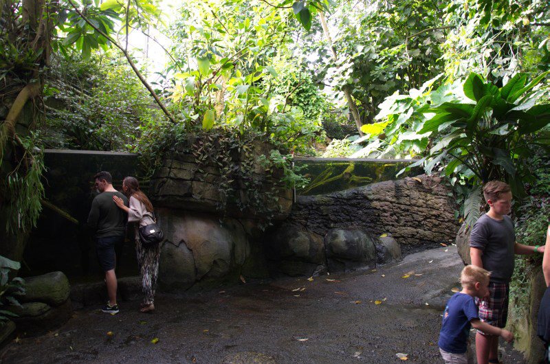 Randers Regnskov Tropical Zoo  - foto: M. Rawski & B. Kierończ
