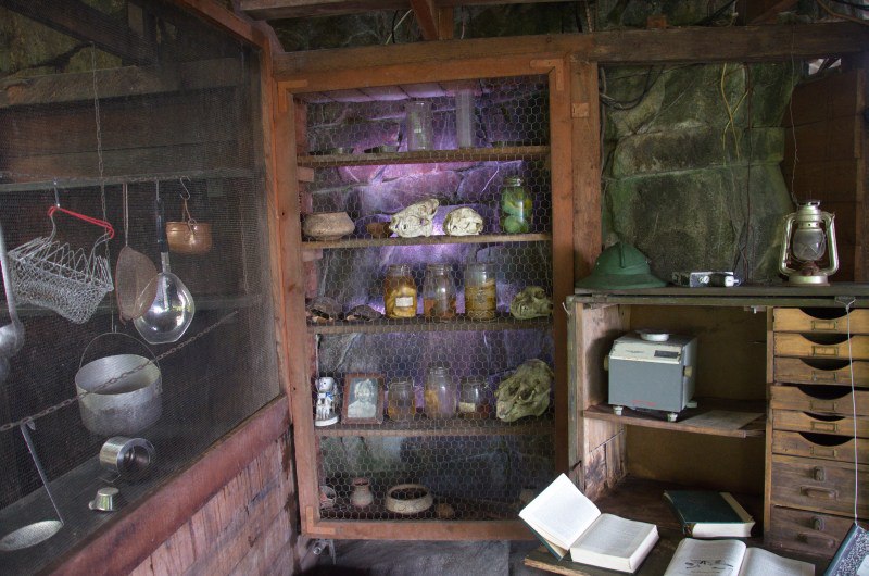 Randers Regnskov Tropical Zoo  - foto: M. Rawski & B. Kierończ