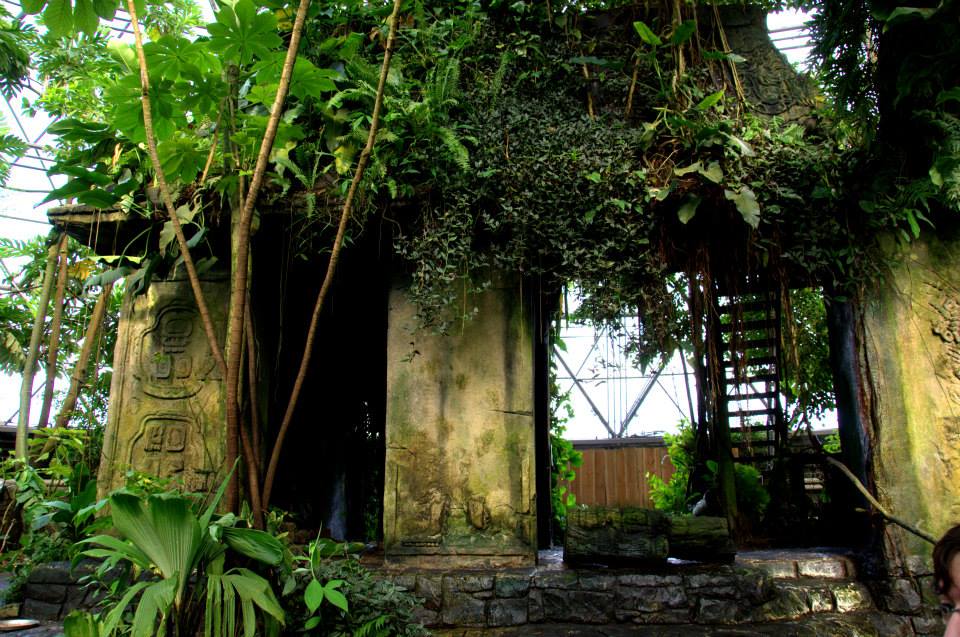 Randers Regnskov Tropical Zoo  - foto: M. Rawski & B. Kierończ