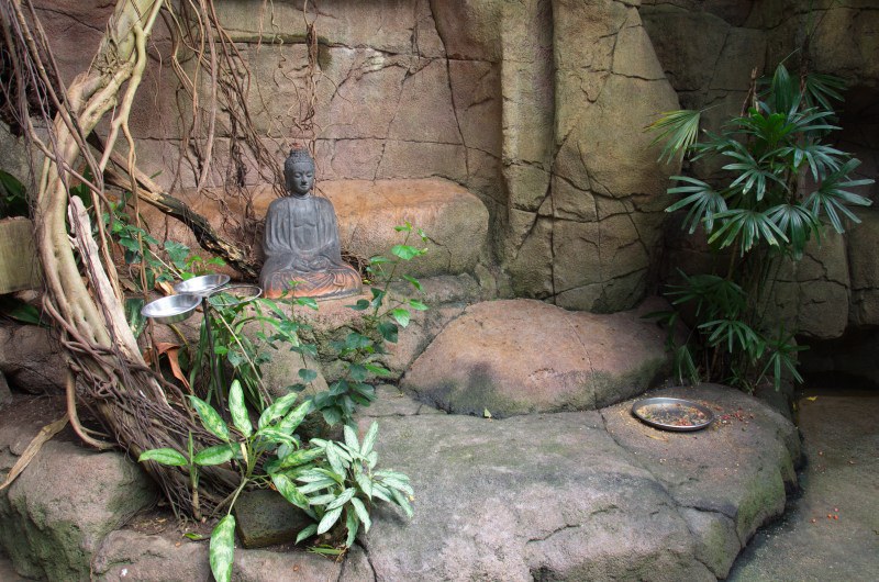 Randers Regnskov Tropical Zoo  - foto: M. Rawski & B. Kierończ