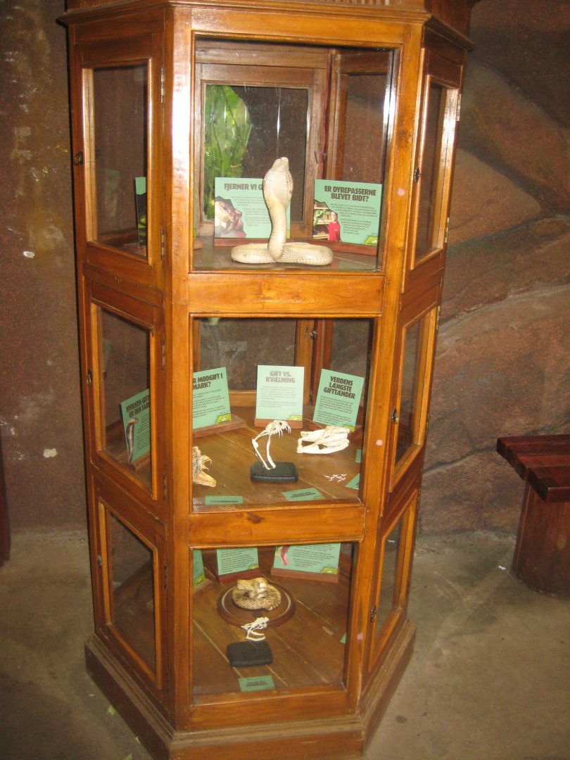 Randers Regnskov - Venomous snake exhibition