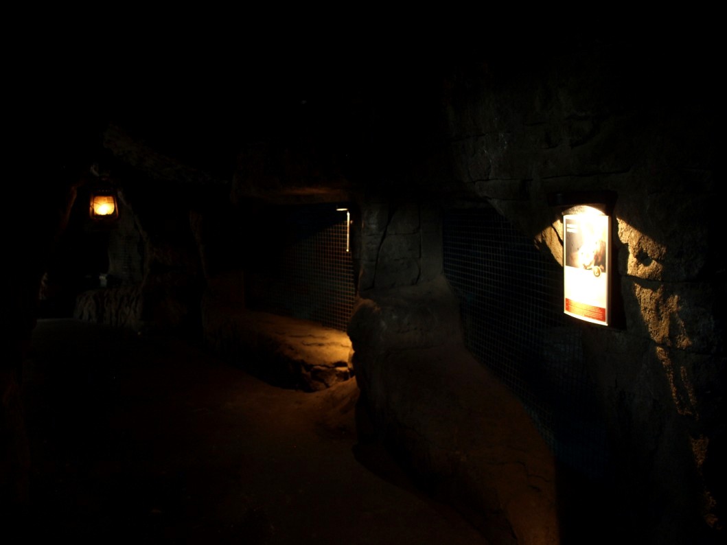 Randers Tropical Zoo - Africa Cave (Aardvark)
