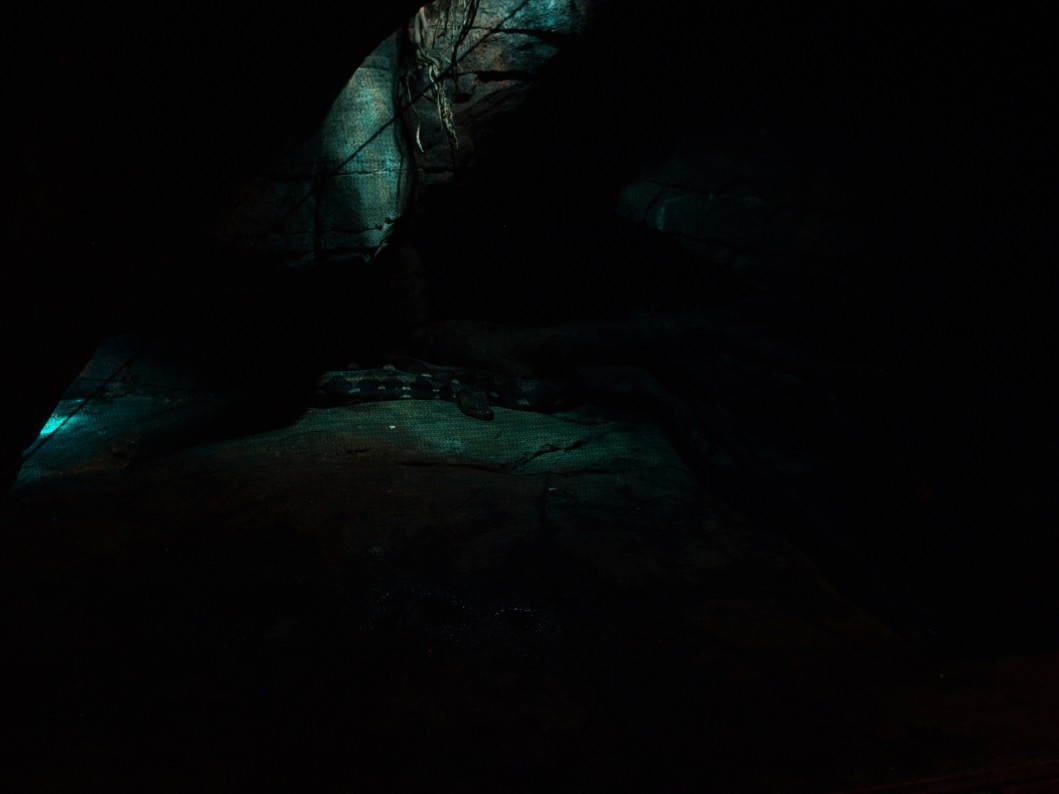 Randers Tropical Zoo - Africa Cave (Python)