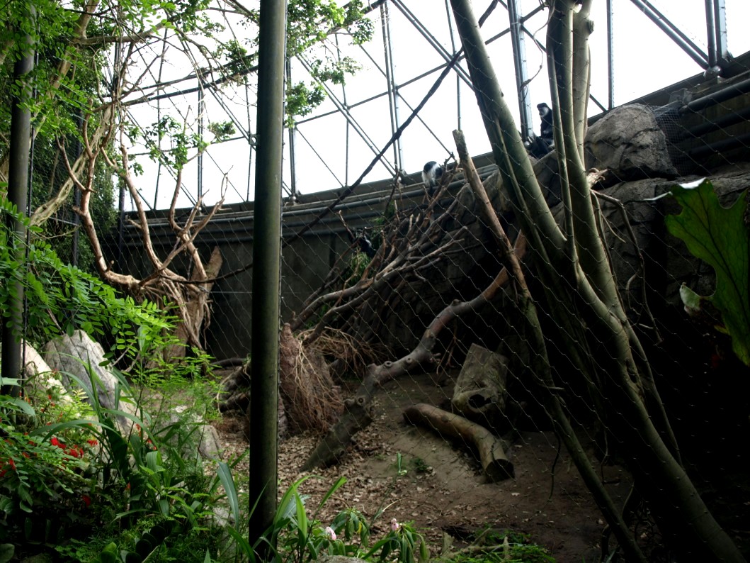 Randers Tropical Zoo - Africa Dome (Colobus exhibit)