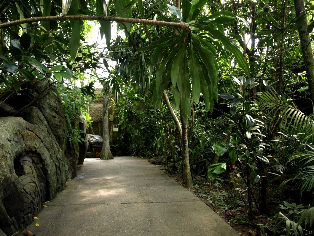 Randers Tropical Zoo - Africa Dome