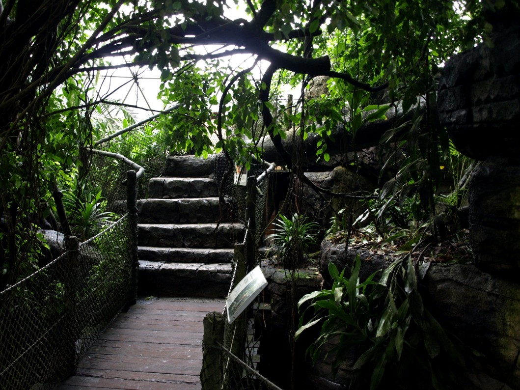 Randers Tropical Zoo - Africa Dome
