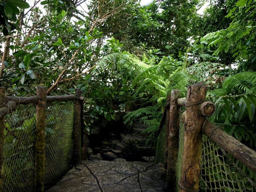 Randers Tropical Zoo - Africa Dome