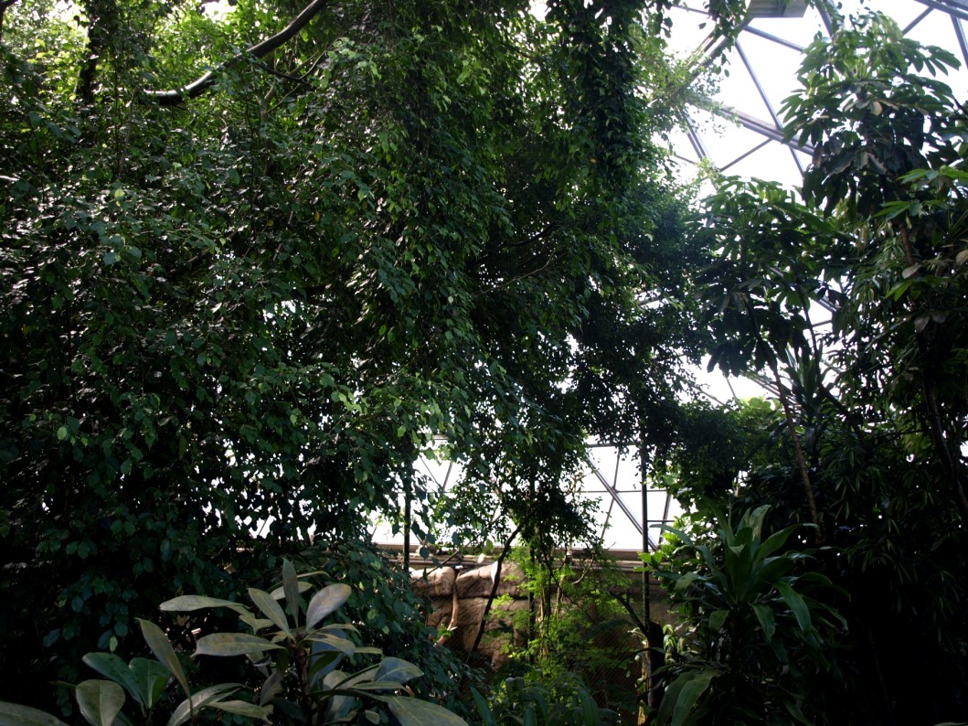 Randers Tropical Zoo - Africa Dome