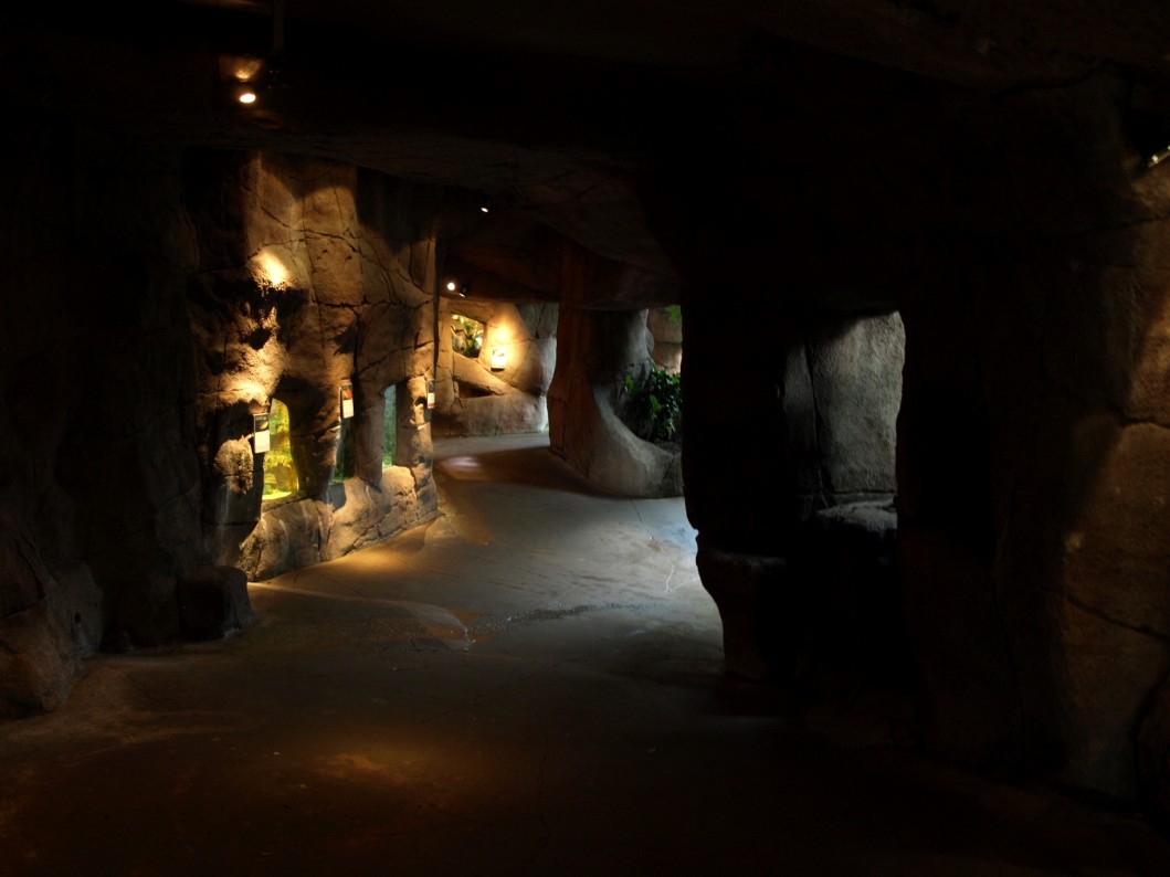 Randers Tropical Zoo - Asia Dome (Aquarium)